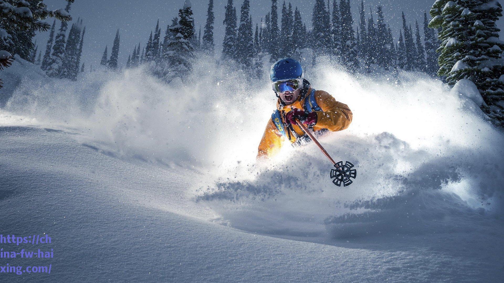 夏季联赛新星闪耀，杨瀚森独揽15分助开拓者力克鹈鹕