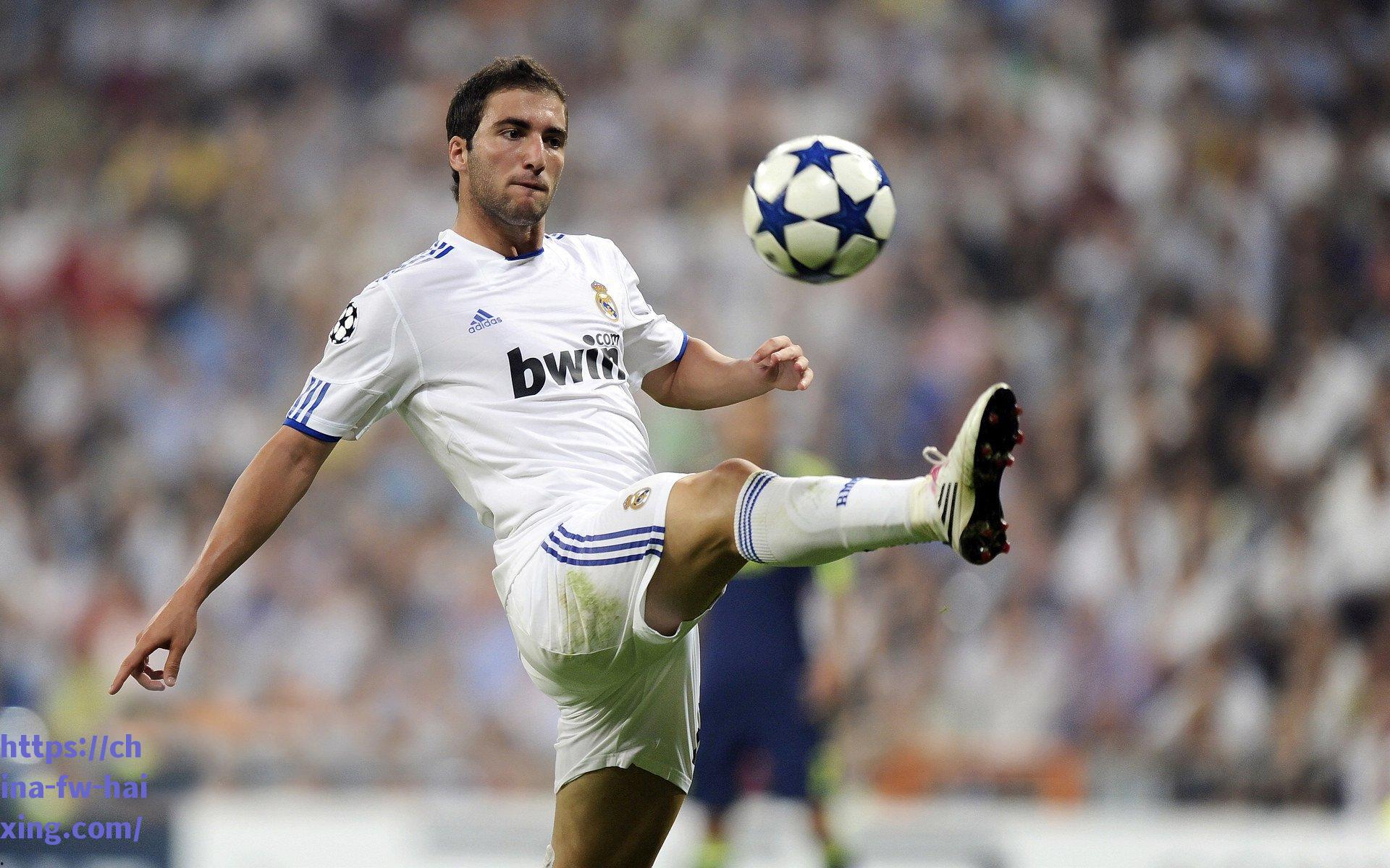 前线锐眼聚焦山东泰山十一载圆梦，深度解析冠军征程的荣耀与挑战